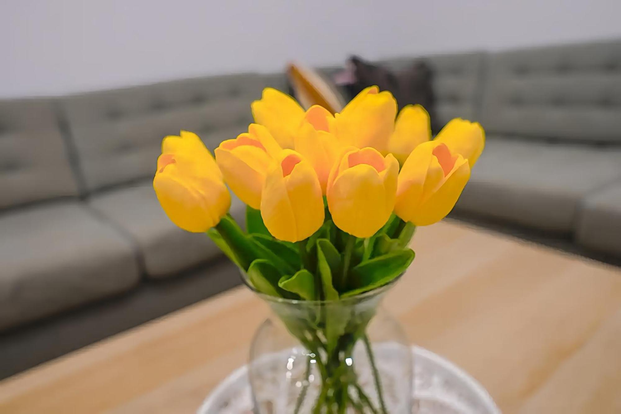 2024 Luxury - 10min To Downtown & Airport Apartment